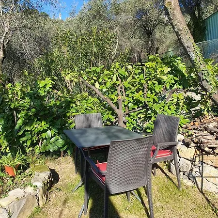 Apartment Michelina